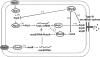 Fig 7