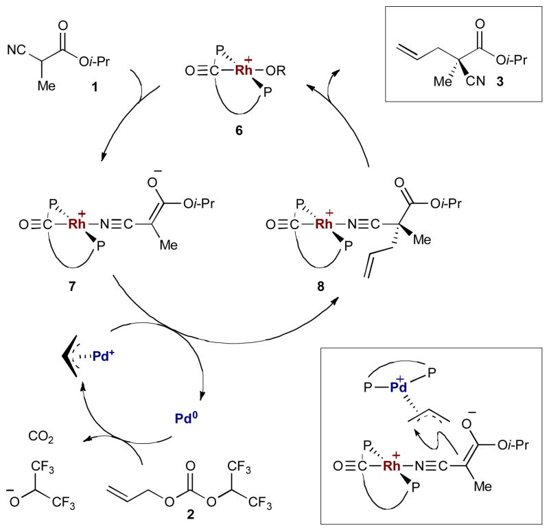 Scheme 2