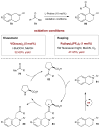 Scheme 22
