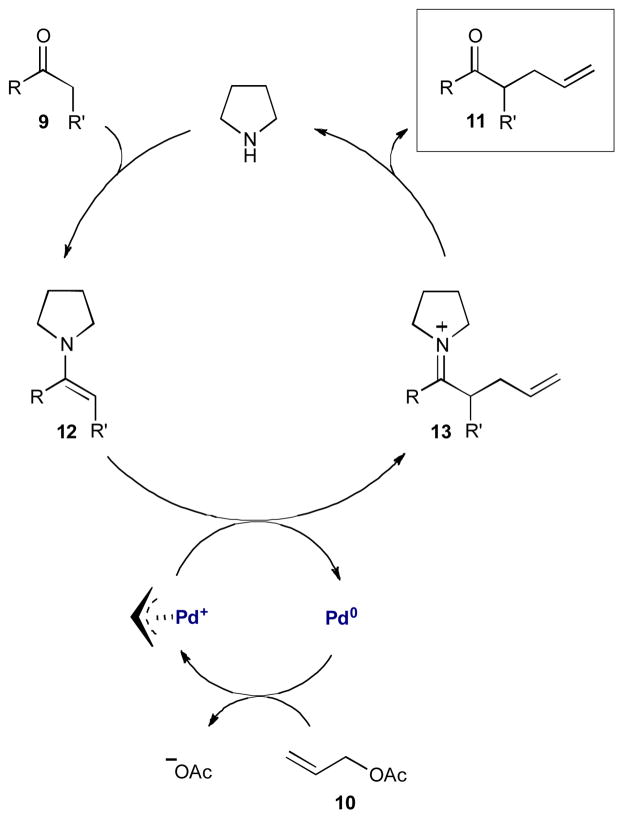 Scheme 4