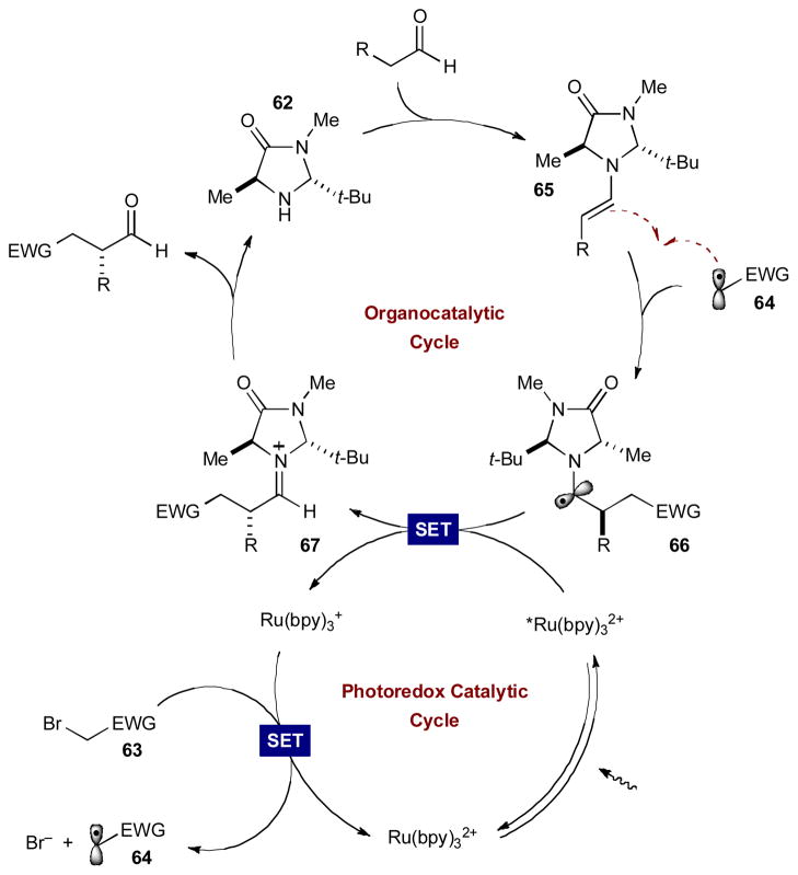 Scheme 18