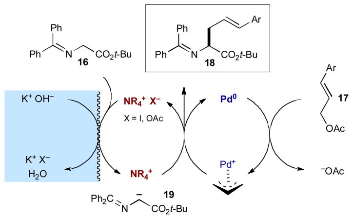 Scheme 7