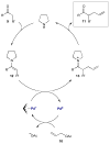 Scheme 4