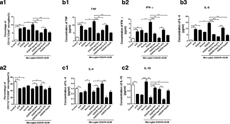 Fig. 10