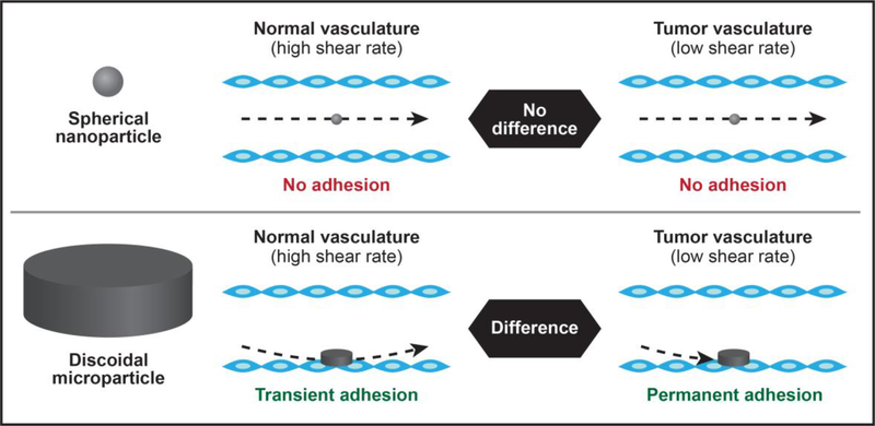 Figure 2 |