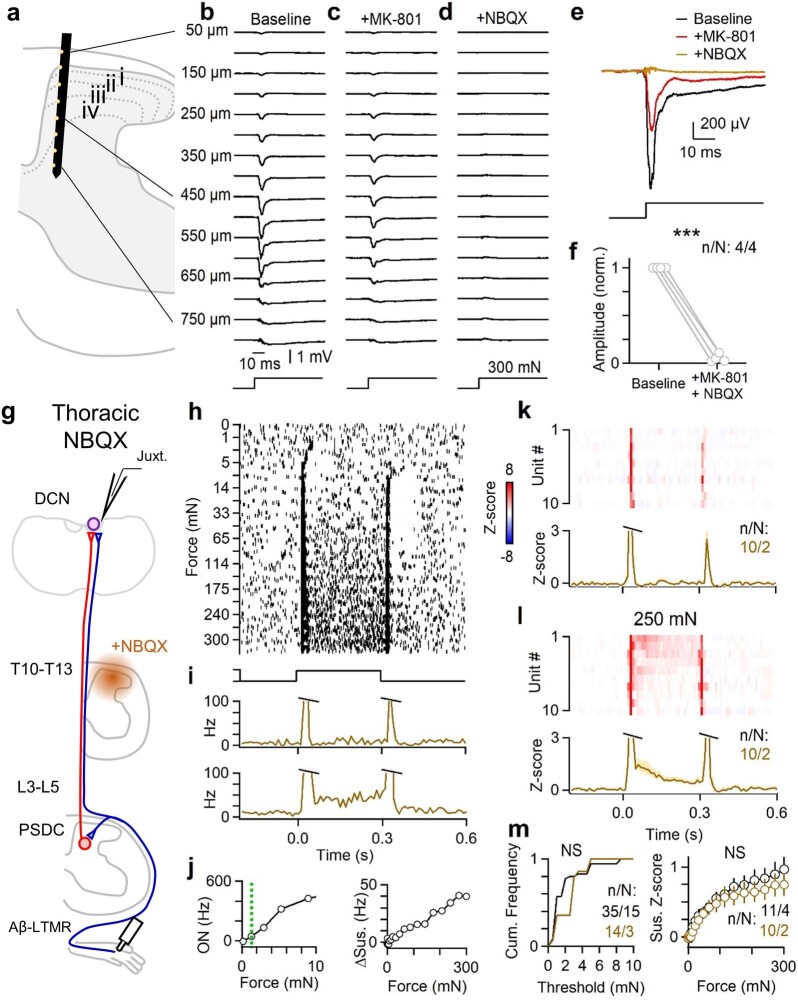 Extended Data Fig. 5