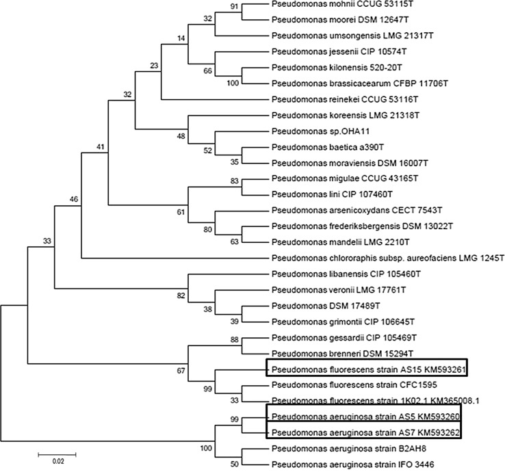 Fig. 6