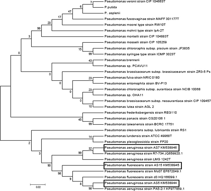 Fig. 4