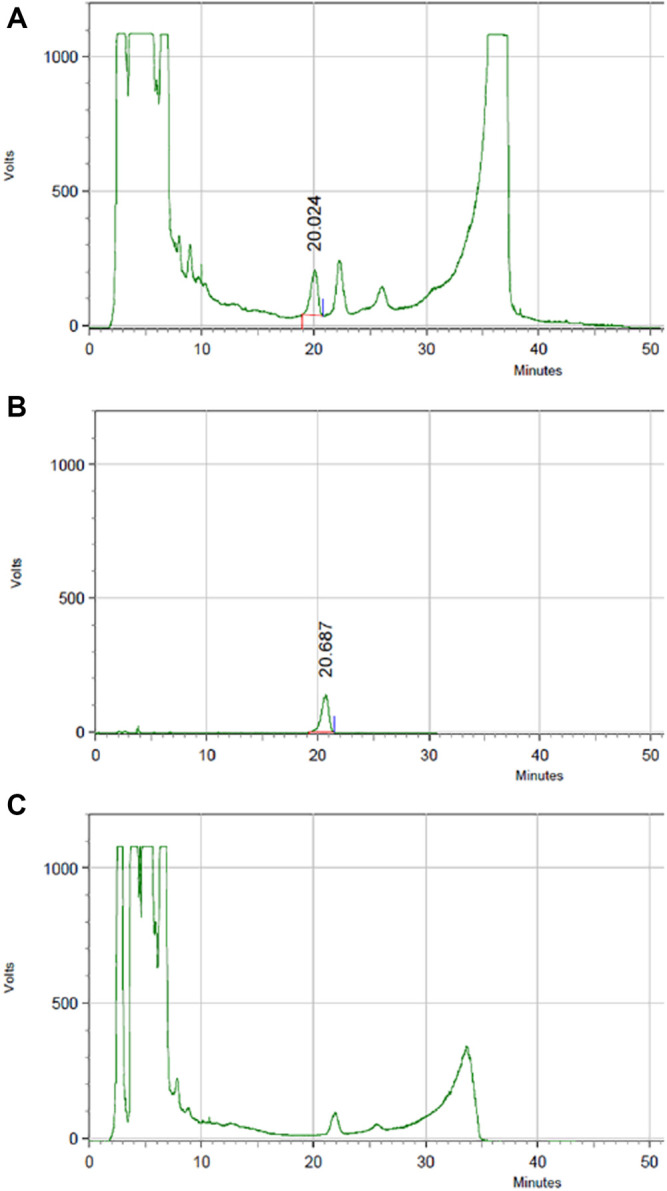 FIGURE 12