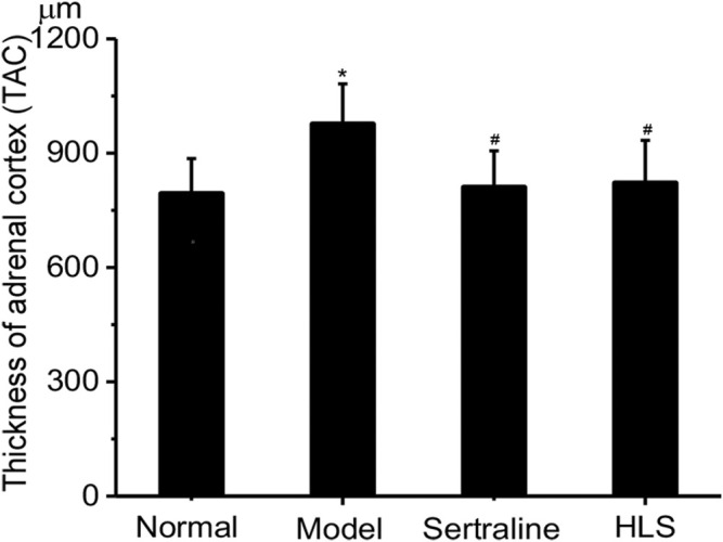 FIGURE 9