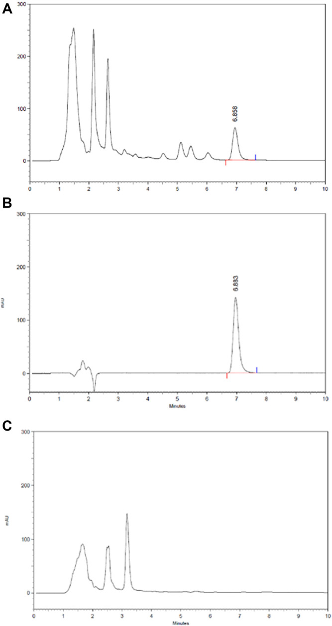 FIGURE 11