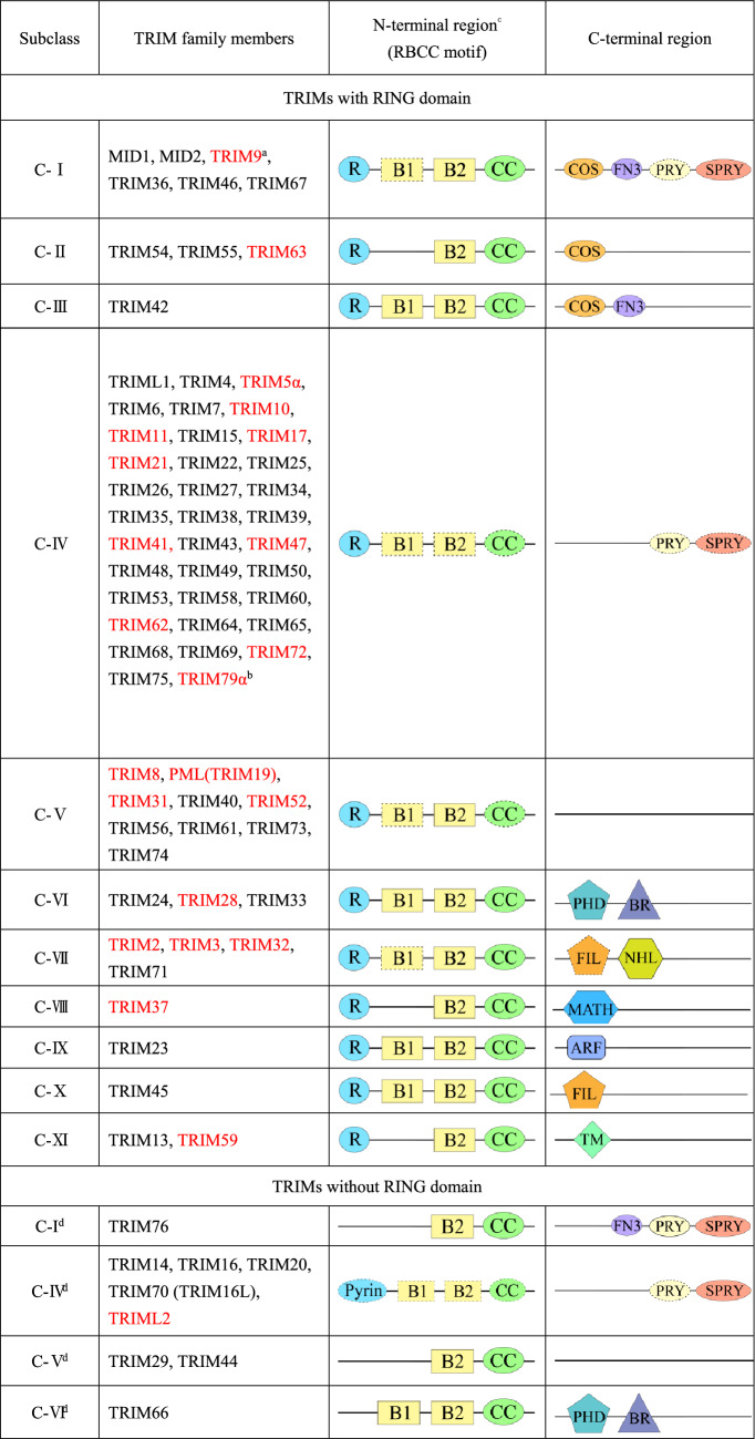 graphic file with name 10571_2023_1337_Tab1_HTML.jpg