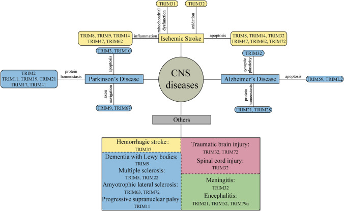 graphic file with name 10571_2023_1337_Figa_HTML.jpg