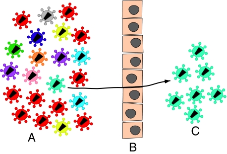 Fig. P1.