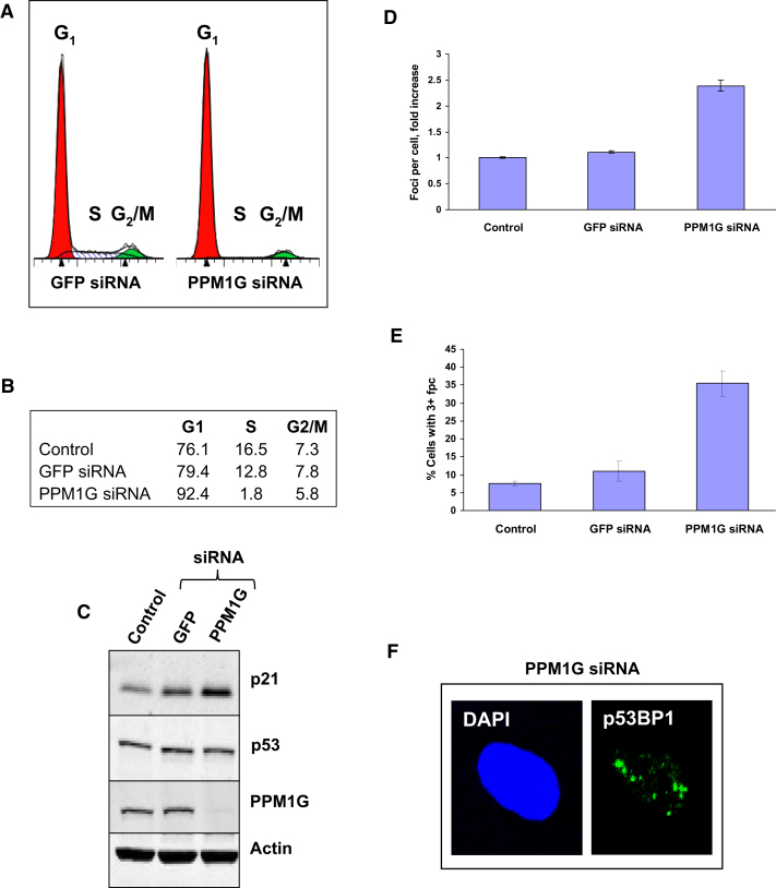 Figure 6