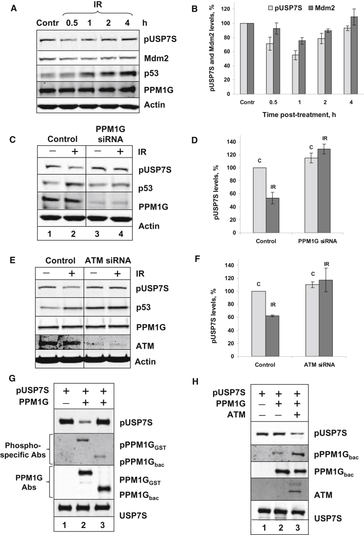 Figure 5