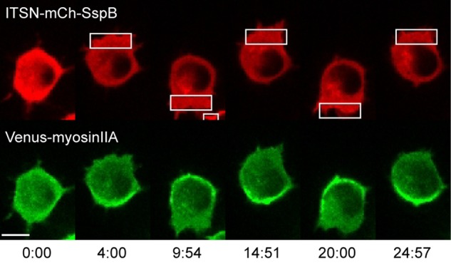 FIGURE 9: