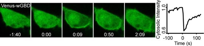 FIGURE 1: