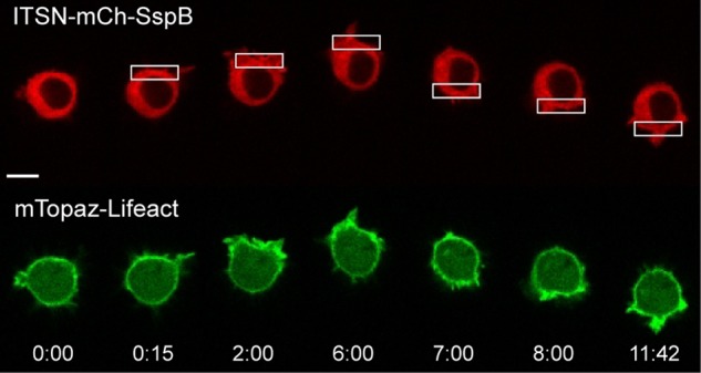 FIGURE 6: