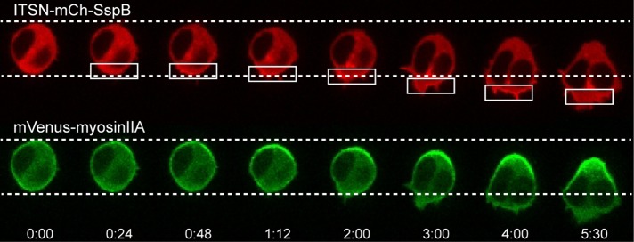 FIGURE 10: