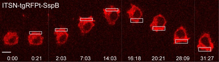 FIGURE 3: