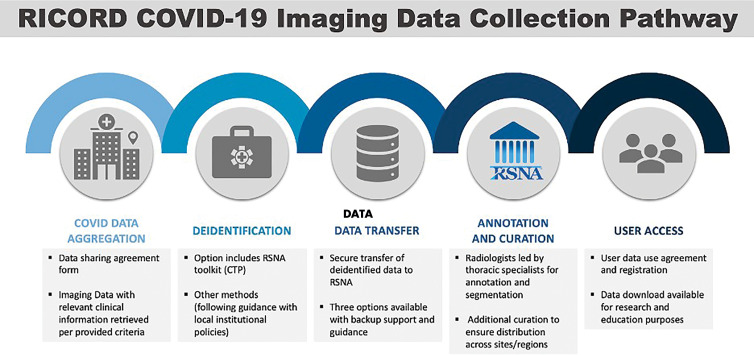 Stepwise pathway for coronavirus disease 2019 (COVID-19) imaging data contribution. CTP = clinical trials processor, RICORD = RSNA International COVID-19 Open Radiology Database.