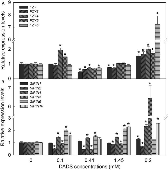 Figure 6