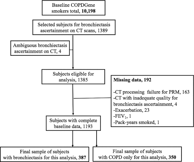 Flowchart shows participant selection. COPD = chronic obstructive pulmonary disease, FEV1 = forced expiratory volume in 1 second, PRM = parametric response mapping.