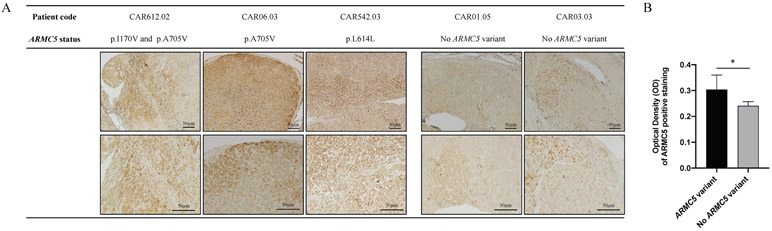 Figure 3: