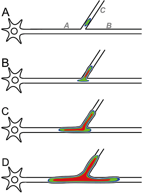 Figure 8