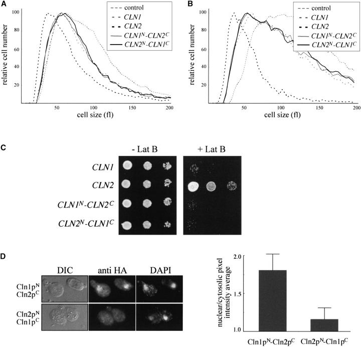 Figure 6.—