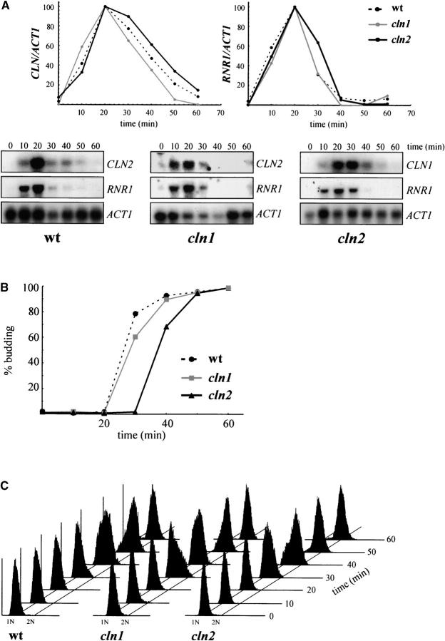 Figure 3.—