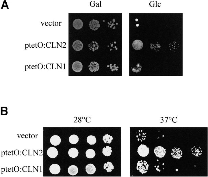 Figure 2.—