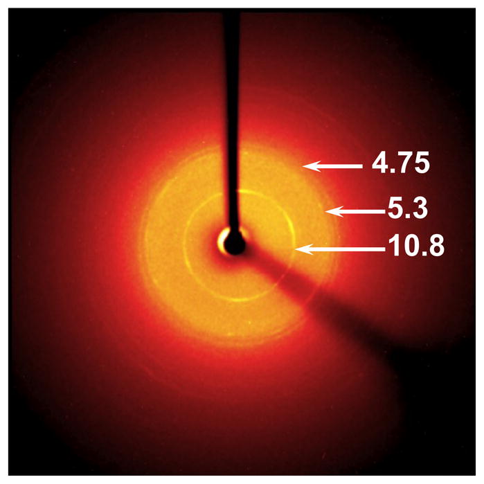 Figure 10