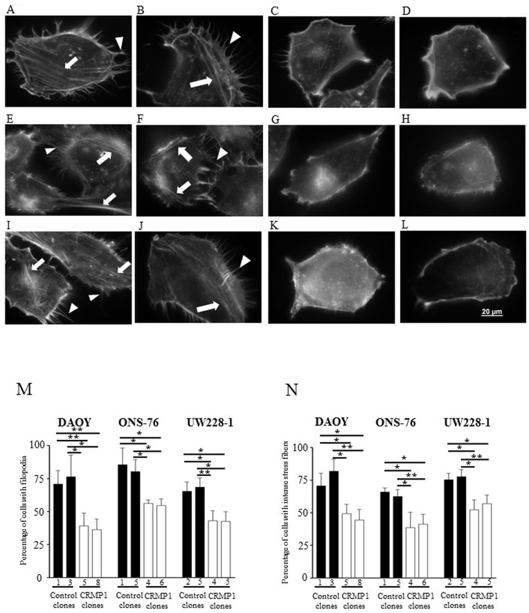 Fig 9