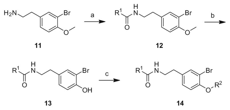 Scheme 1