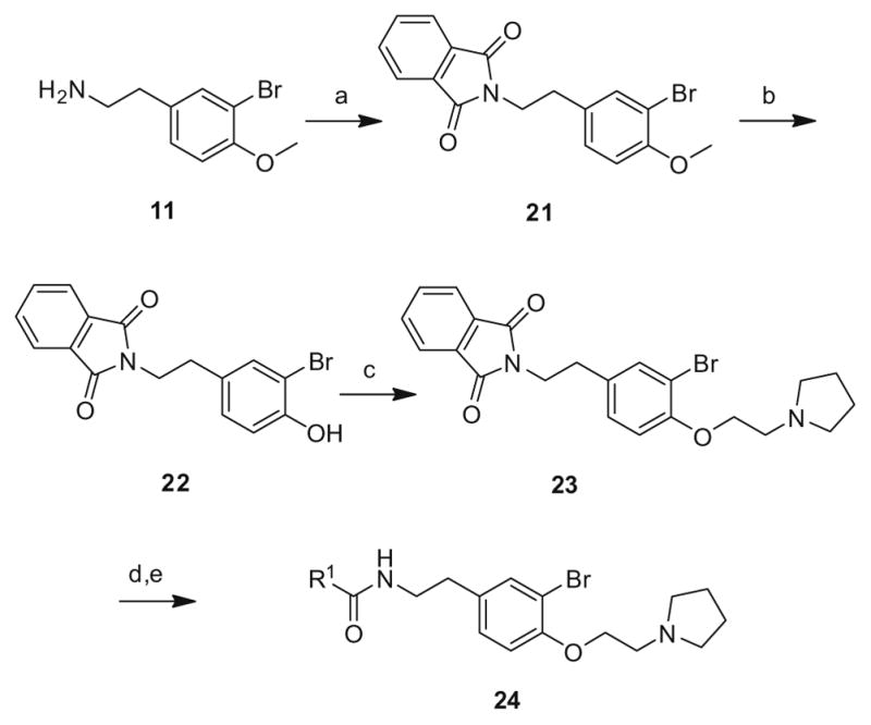 Scheme 3