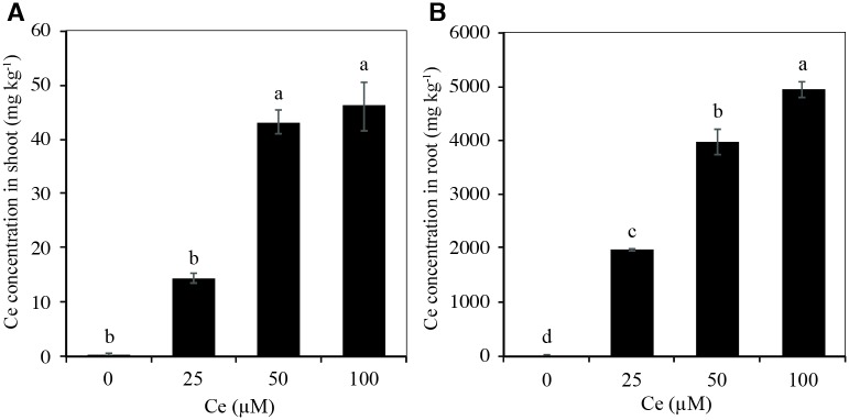 Fig 8