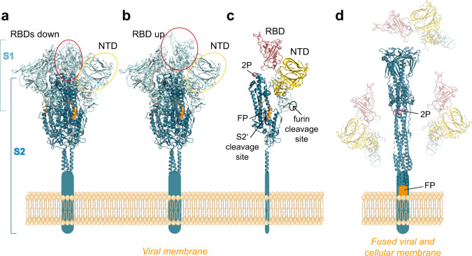 Fig. 2