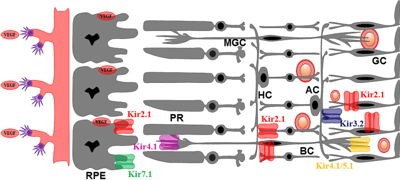 Figure 2.