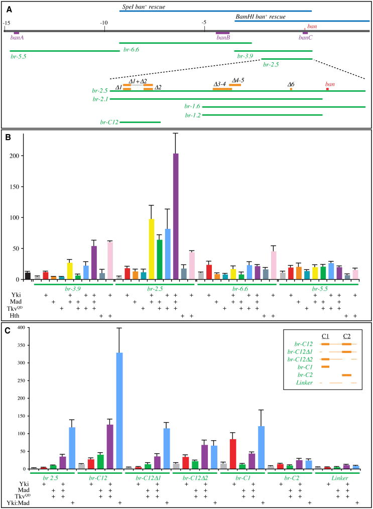Fig. 4