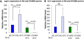 Figure 3—figure supplement 3.