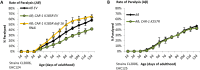 Figure 4—figure supplement 1.