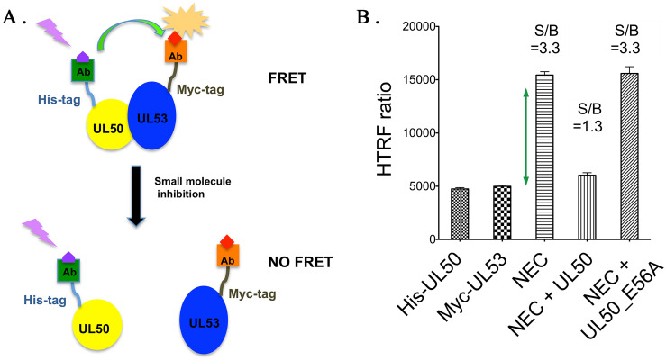 Fig 1