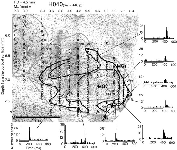 Fig. 3.