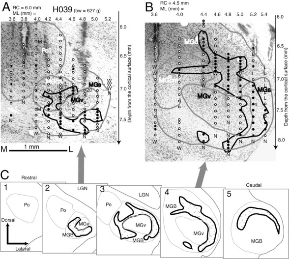 Fig. 5.