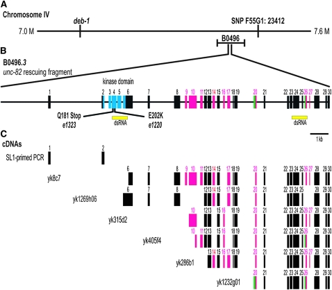 Figure 4.—