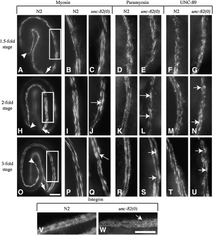 Figure 2.—