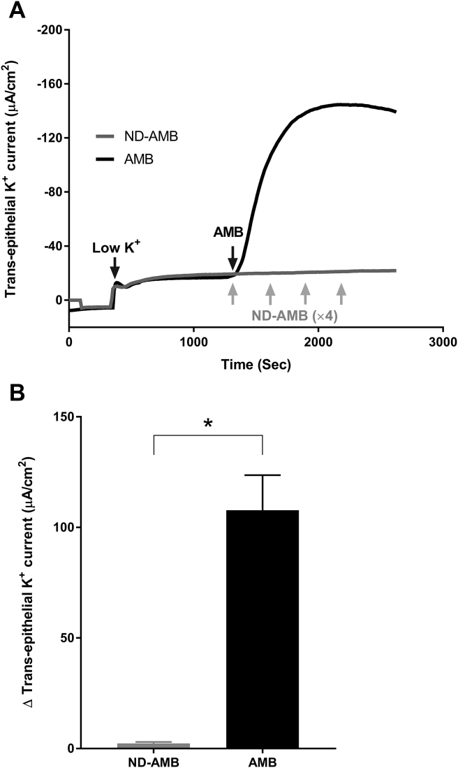 Fig. 1