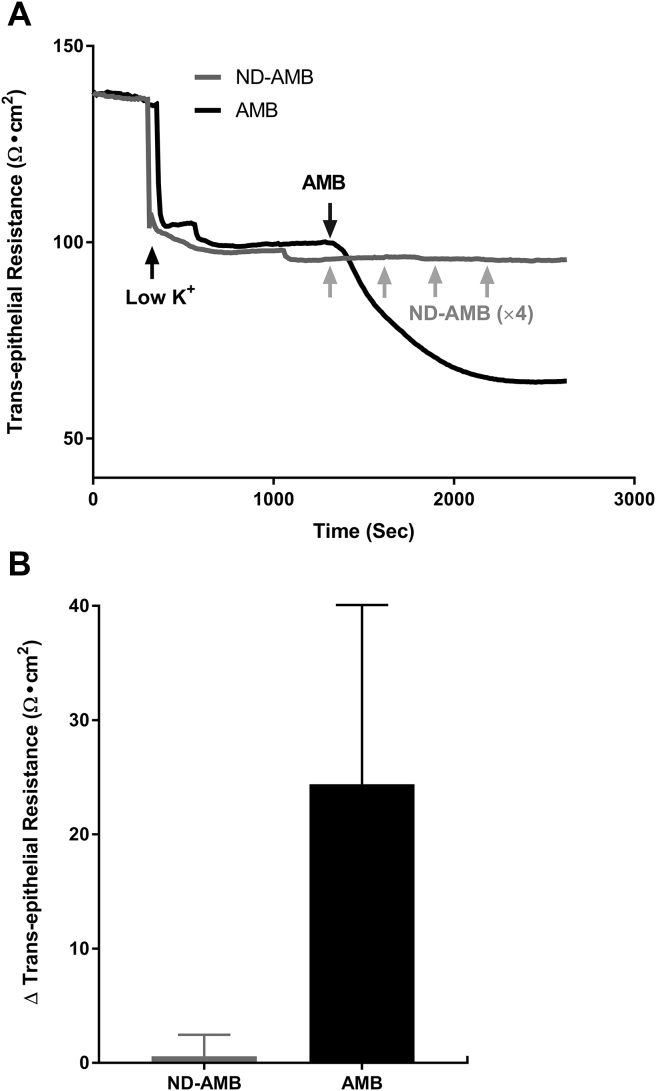 Fig. 2